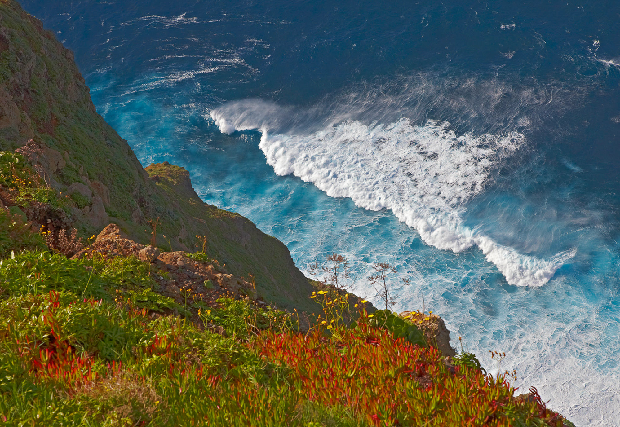 Madeira's typische Steilküste